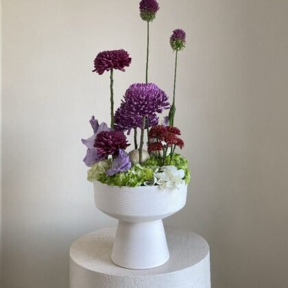 evergreen enchantment