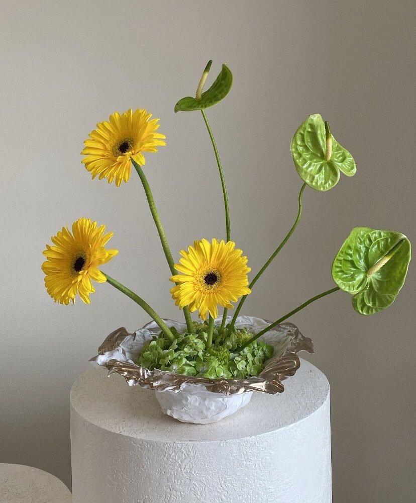 lovely gerbera